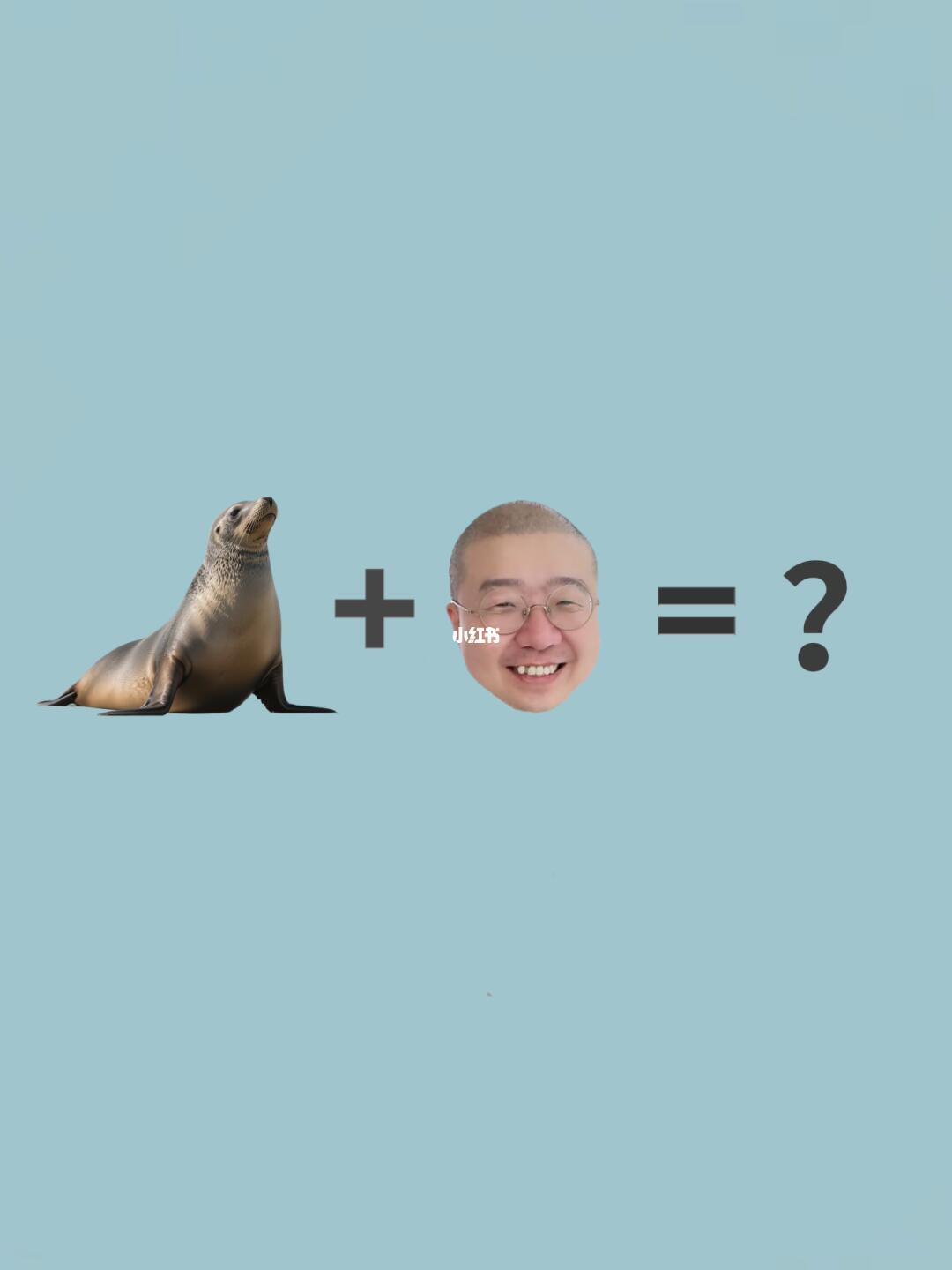 海豹🦭+李诞=？