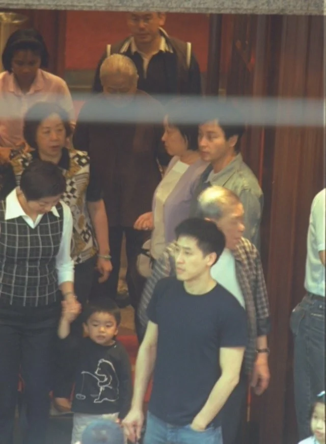 落花时节又逢君