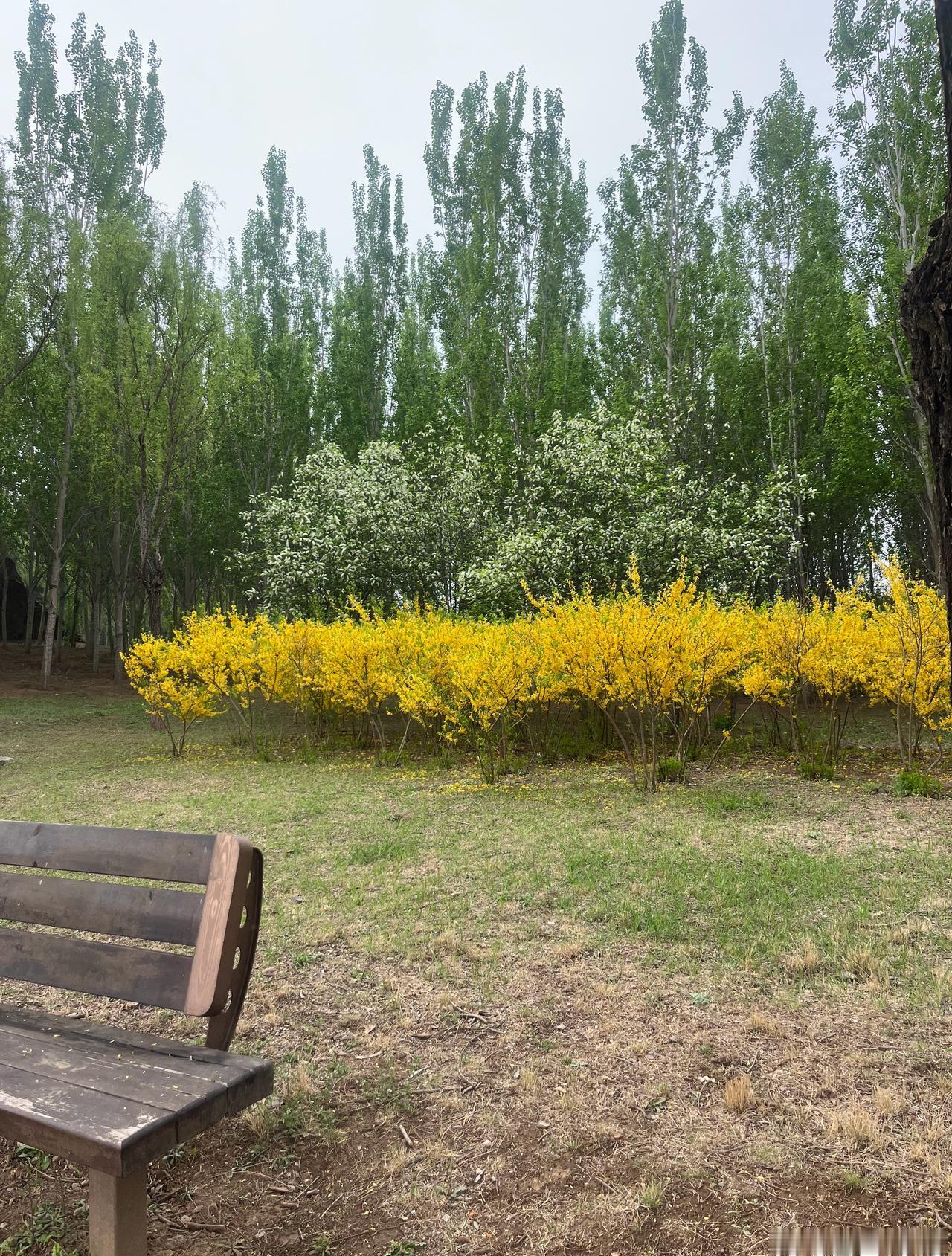 今早
什么情况

不到8点半

公园停车场
就停满了

这天气
也不好啊

早上