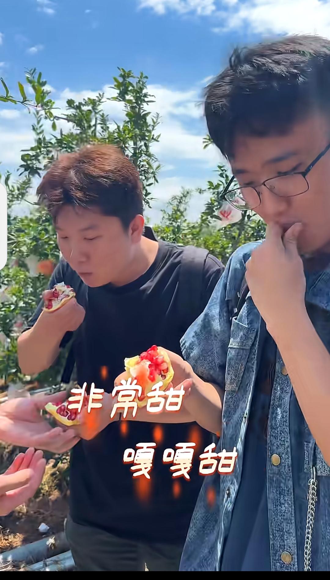 与辉同行四川石榴溯源几个小时，又是几车满满当当的设备拉到会理直播现场，这“烧钱”