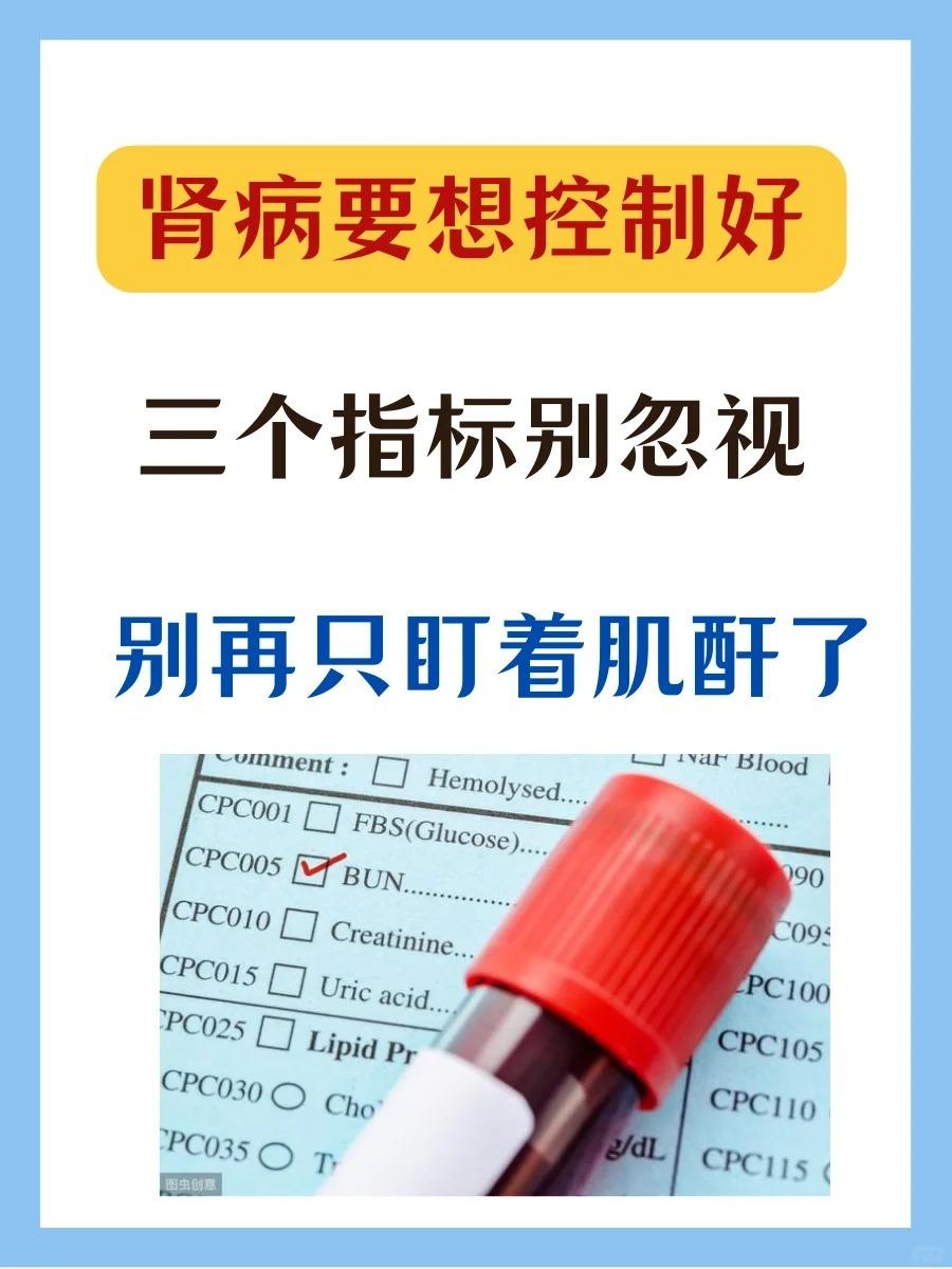 肾病要想控制好，三个指标别忽视！