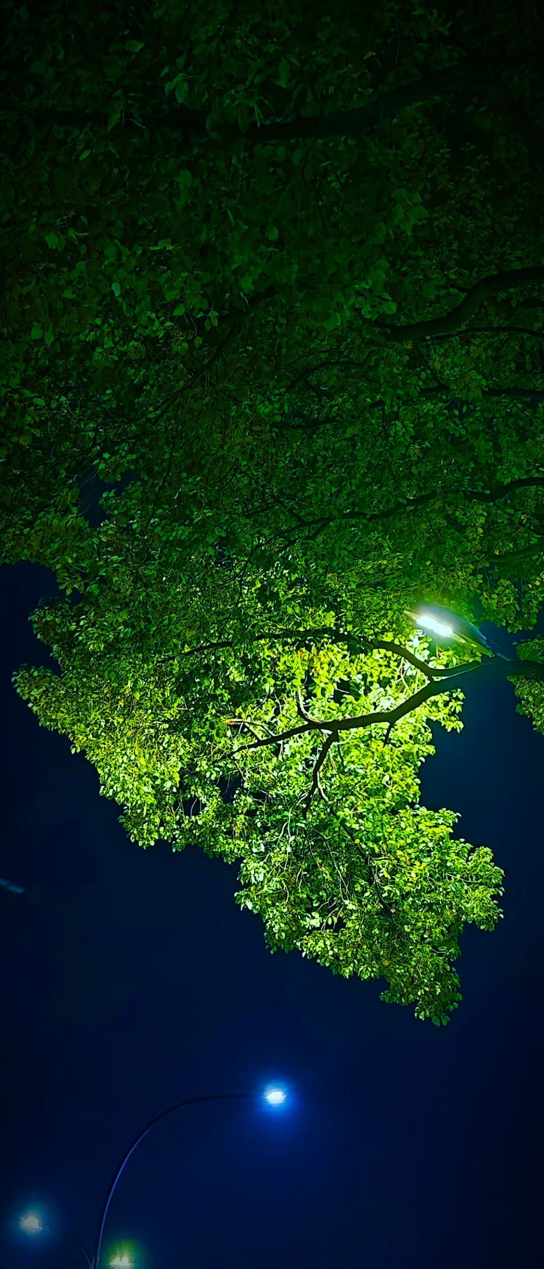 每个人都有一个觉醒期， 但觉醒的早晚决定个人的命运。--路遥 