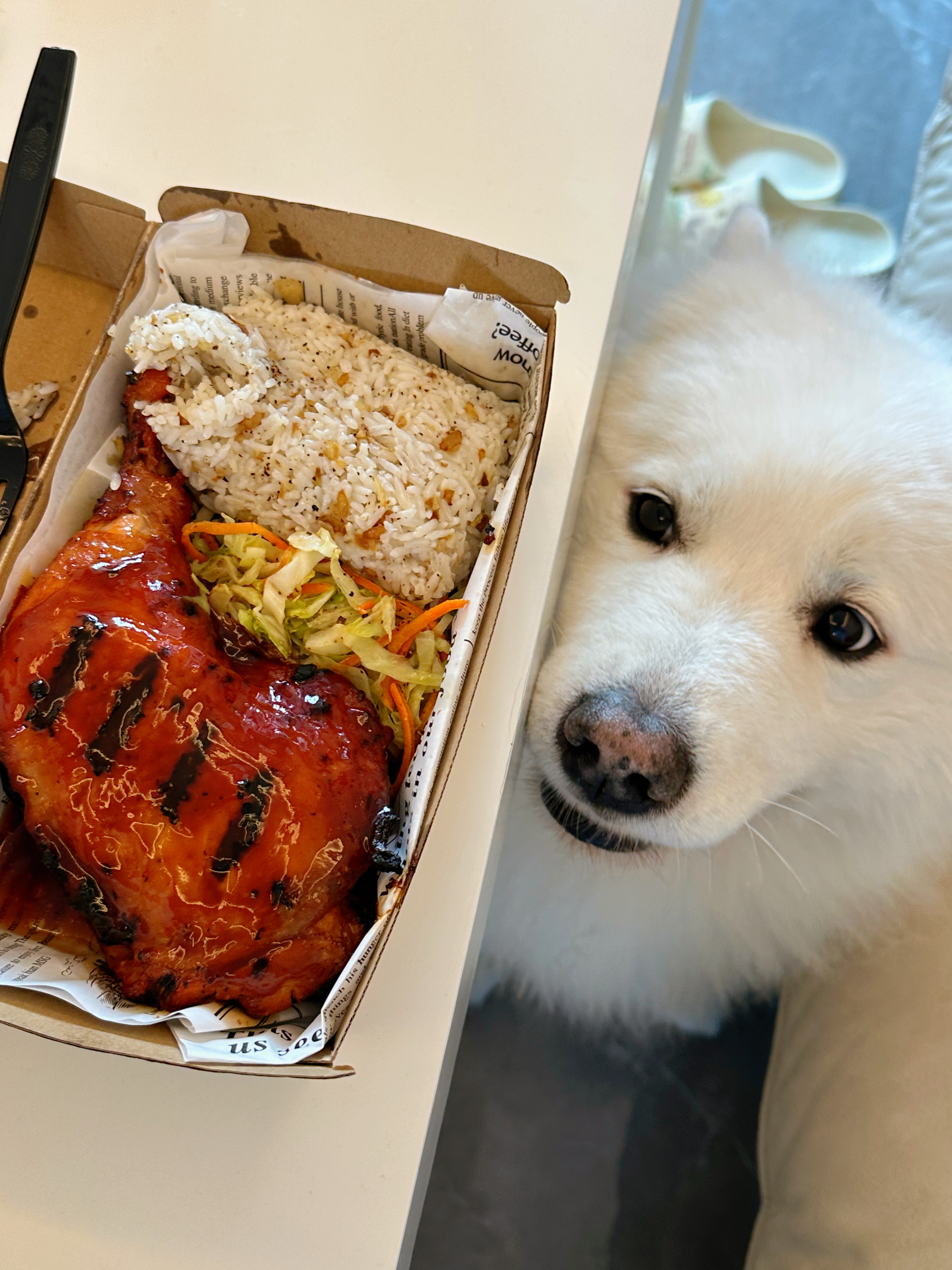 真的非常美味啊啊啊啊啊啊我比较喜欢鸡腿一点 酸甜酱 鸡腿超大吃起来很爽五花肉其实