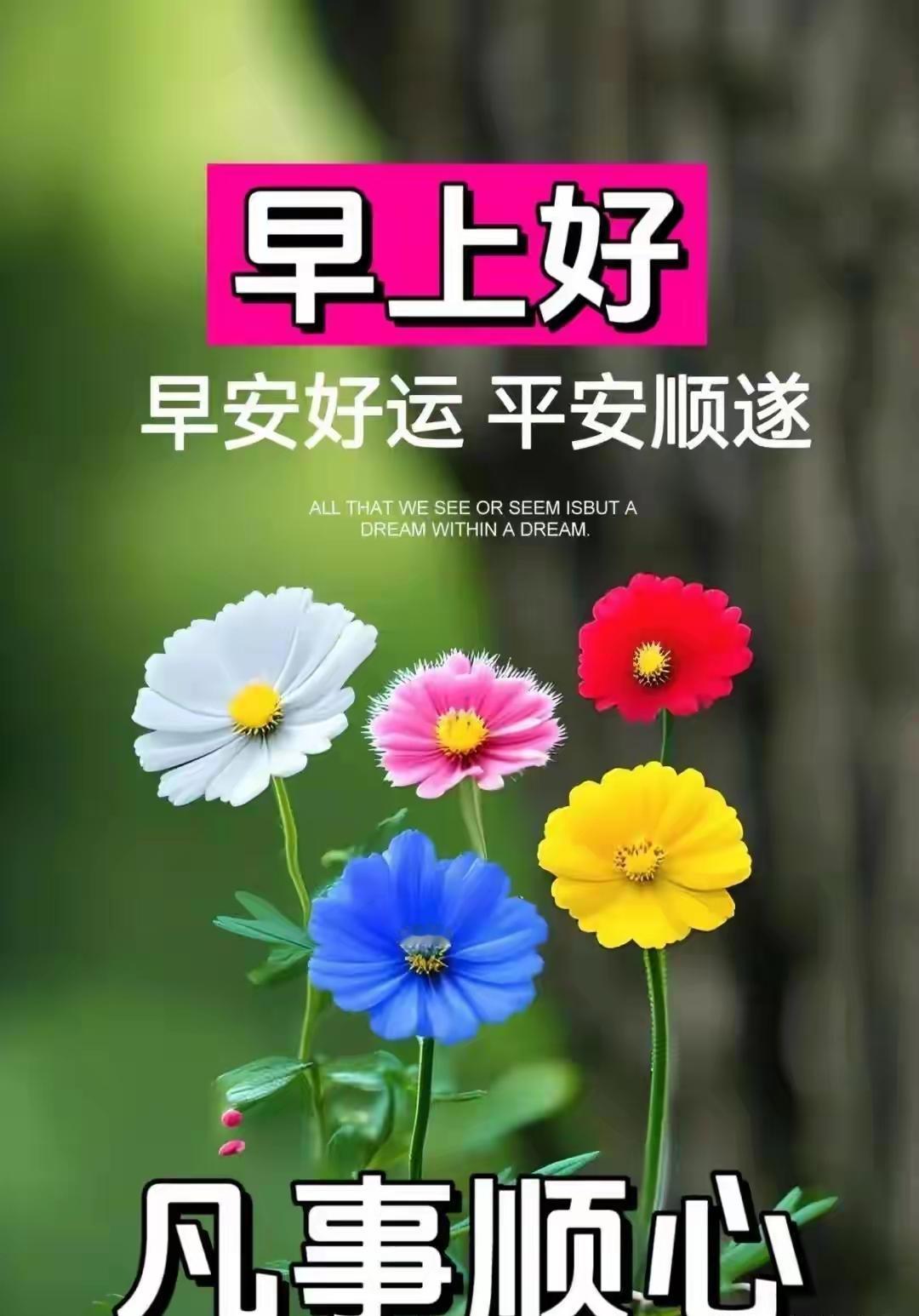 分享早晨的祝福语 包子们早安呀！每一条点赞评论都藏着心意，超治愈～愿今日吃得香心