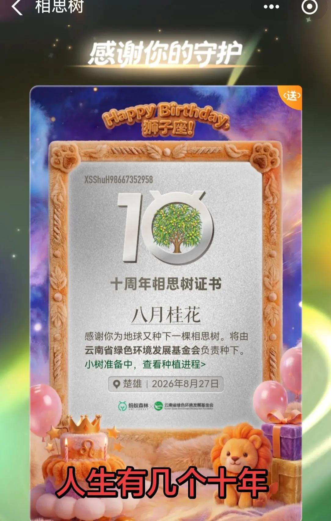 又一个美好的十年！