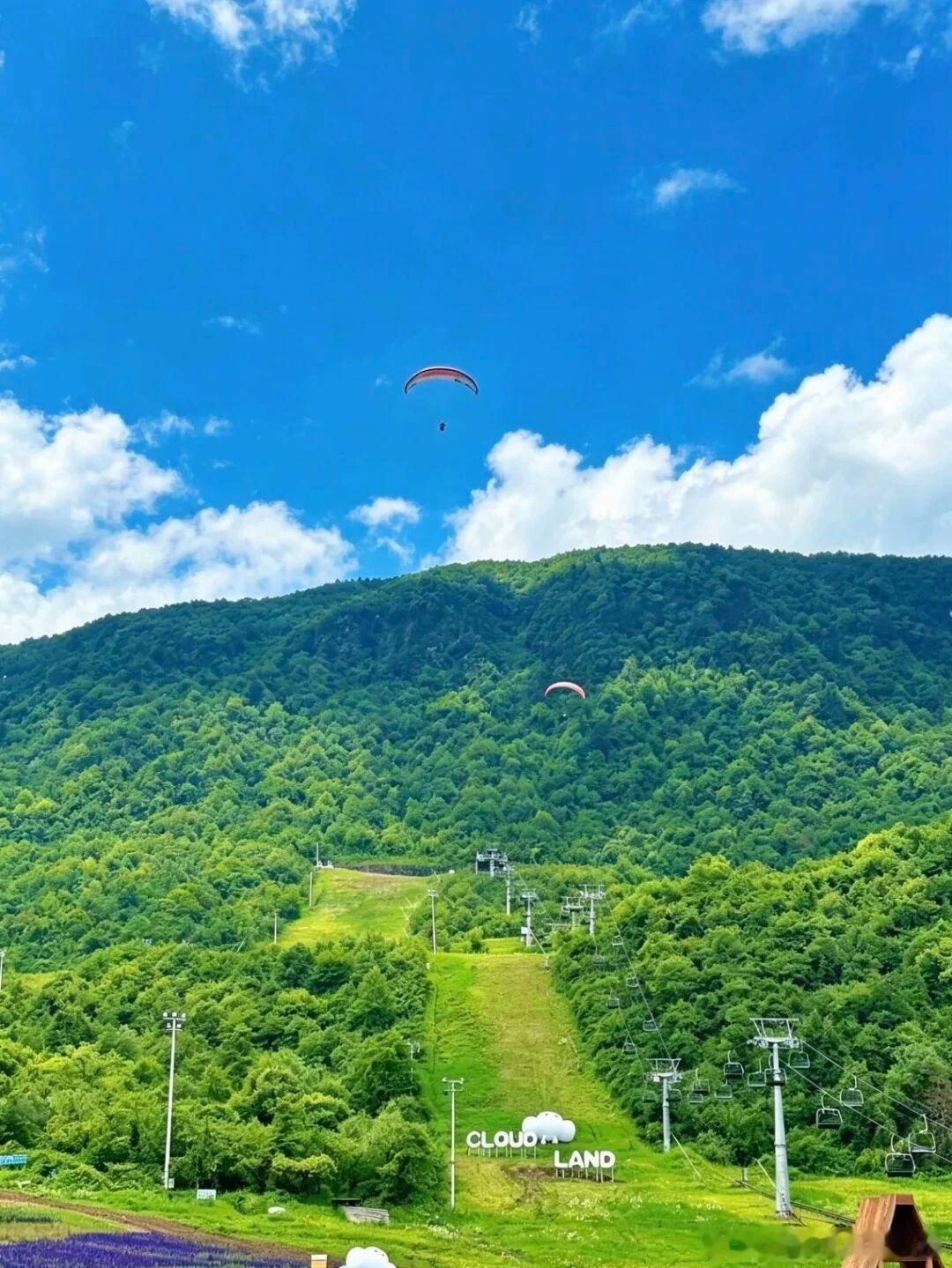 盛夏不想闷在城市里？强烈推荐西岭雪山×二郎山喇叭河这套组合玩法一张畅玩套票包含两