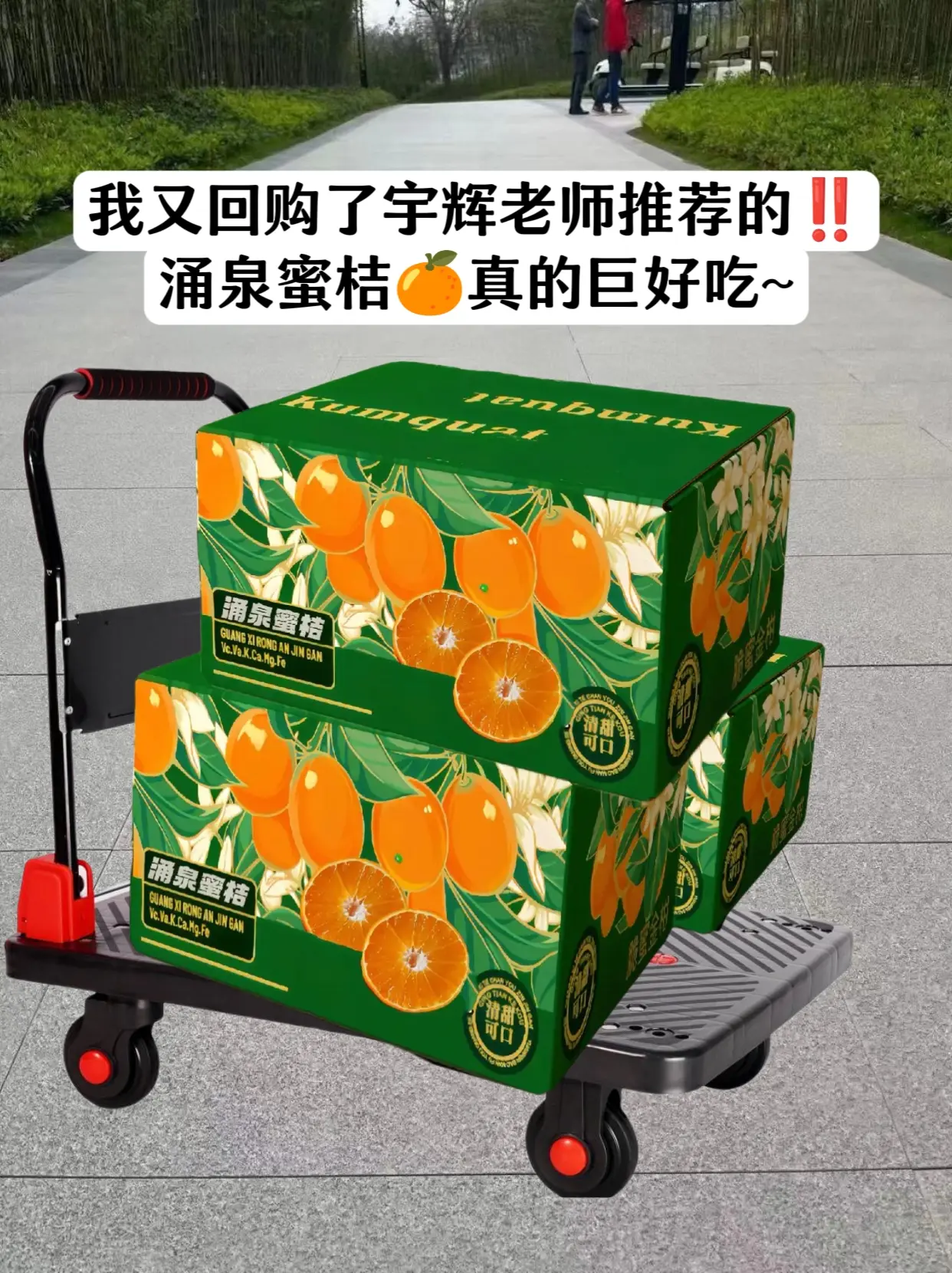 宇辉老师推荐涌泉蜜桔真的巨好吃！家人们这款蜜桔终于上市啦，还是一如既往...