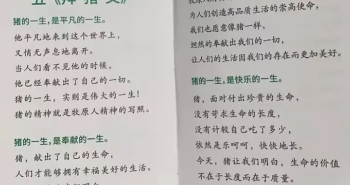 “像猪一样奉献”：企业文化不能只剩下感动自己 | 实习生选拔赛