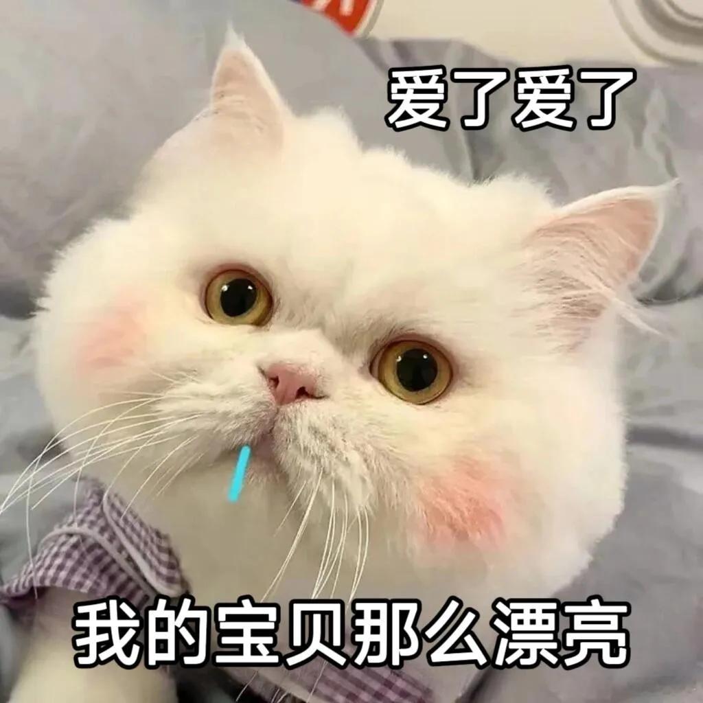 年轻人相亲有自己的数学公式你们相亲界是要考研吗啊啊啊啊别被这些公式唬住了，公式只