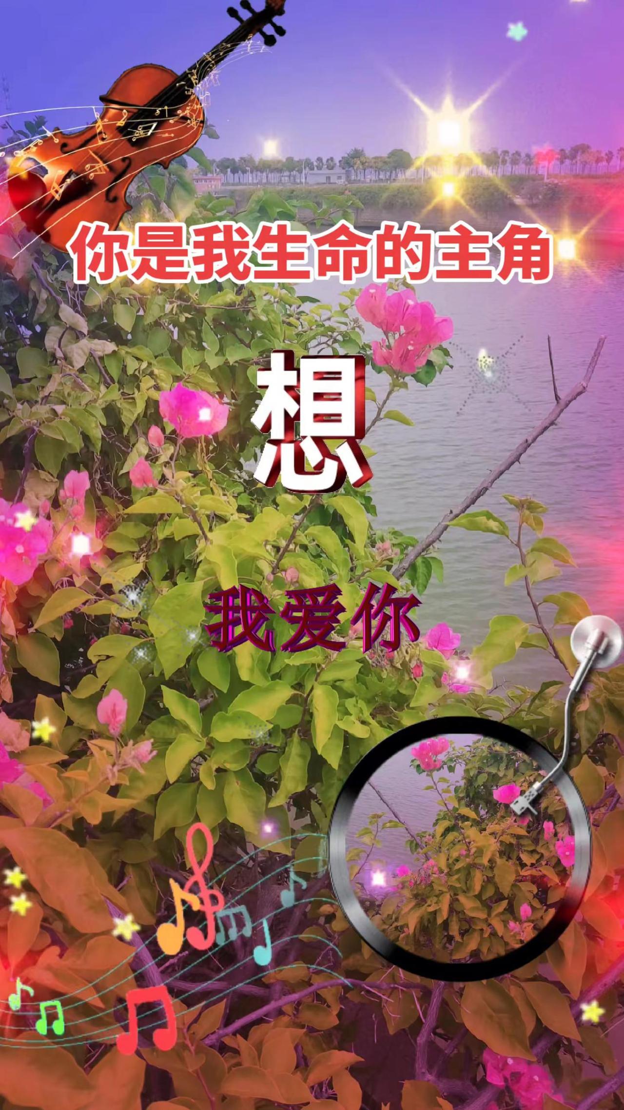听歌赏花拍视频