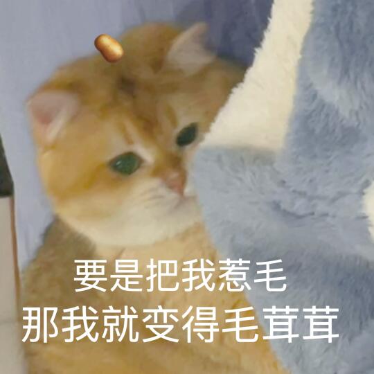 🥔表情包 ｜要是把我惹毛 那我就变得毛茸茸