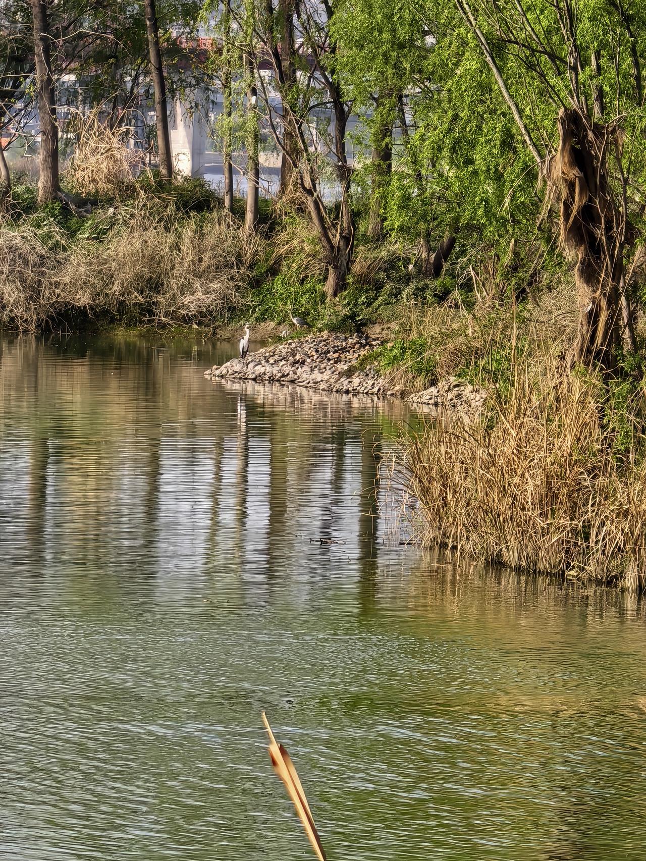 社会上的芸芸大众，从来没有见过长生不老的人，因此，大家并不了解长生不老的人究竟有