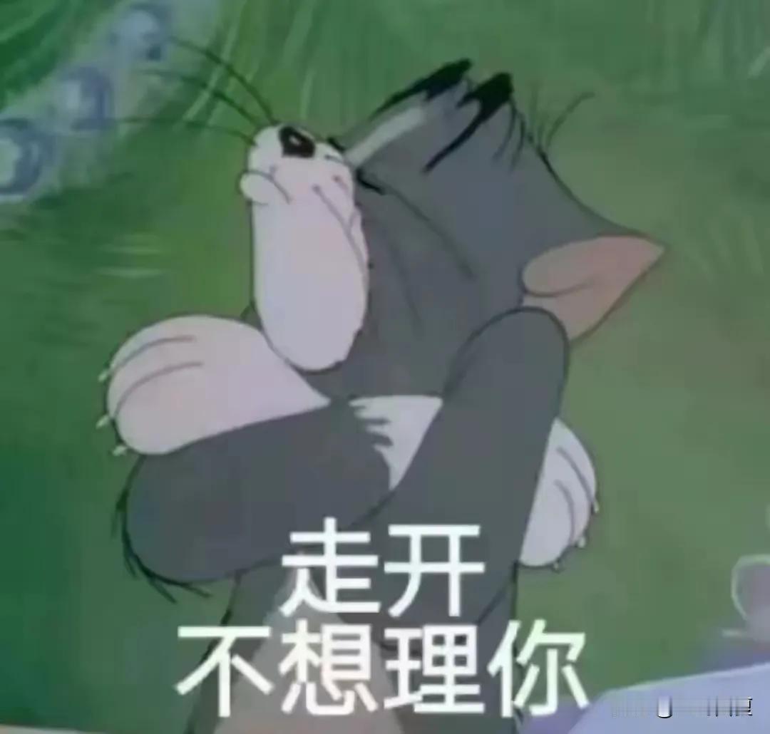 野猫