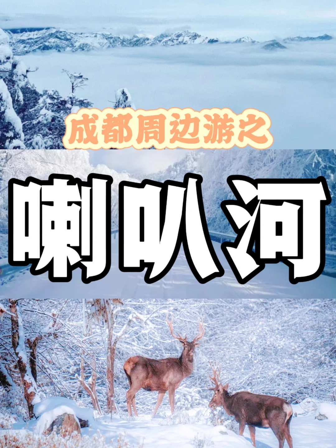 每周1山⛰️本周推荐户外徒步看雪之喇叭河