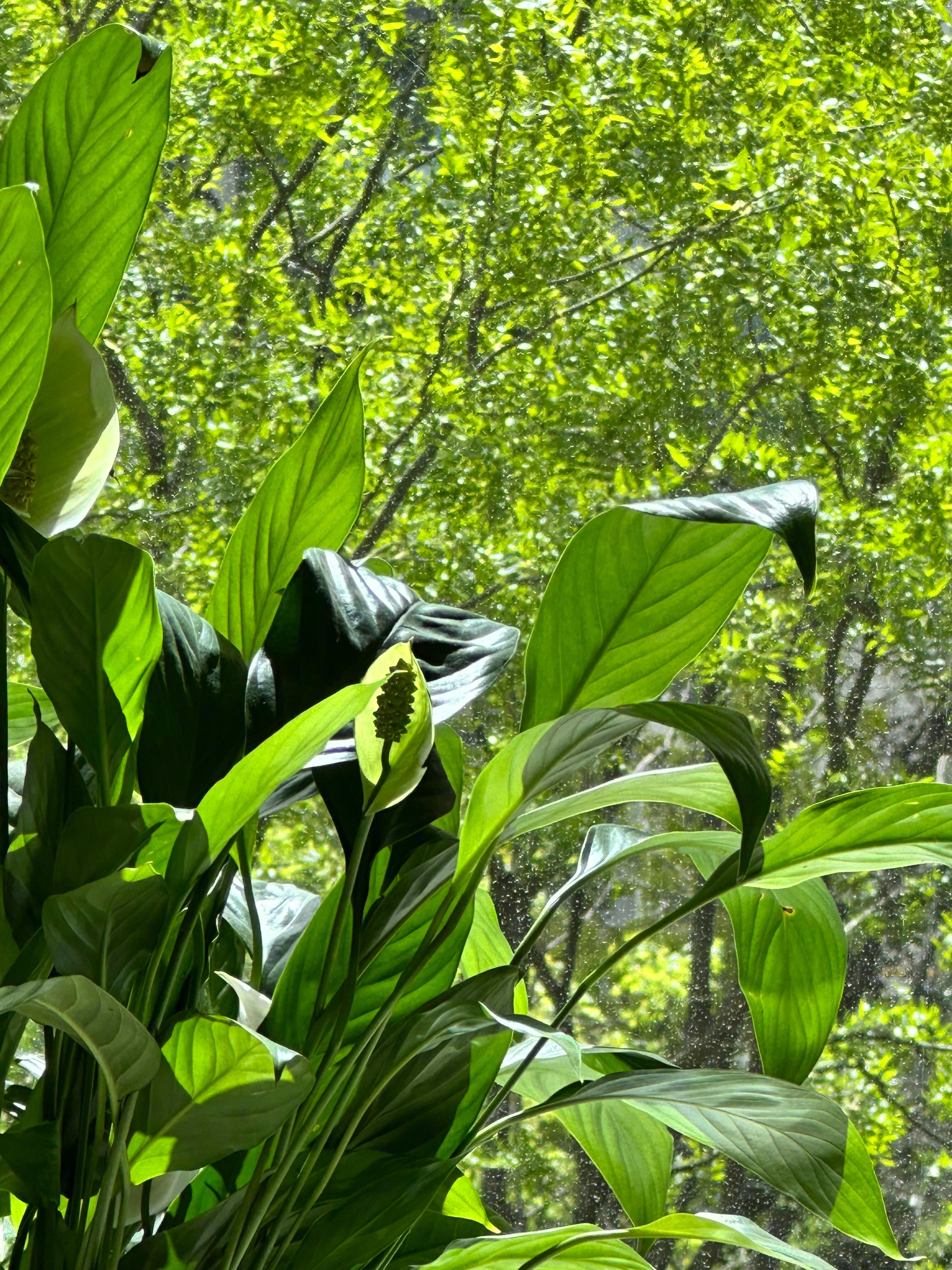 🚗 ⚪︎◦🚕 ⚪︎◦🚙幸福就在拐角 