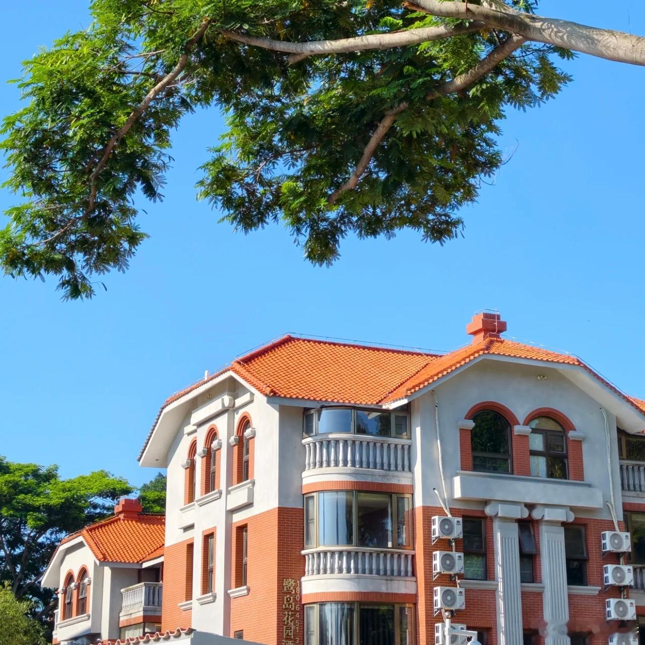 来这里才是鼓浪屿的高级玩法避开喧嚣拥挤的热门街巷，慢慢游走鼓浪屿，才读懂这座小岛