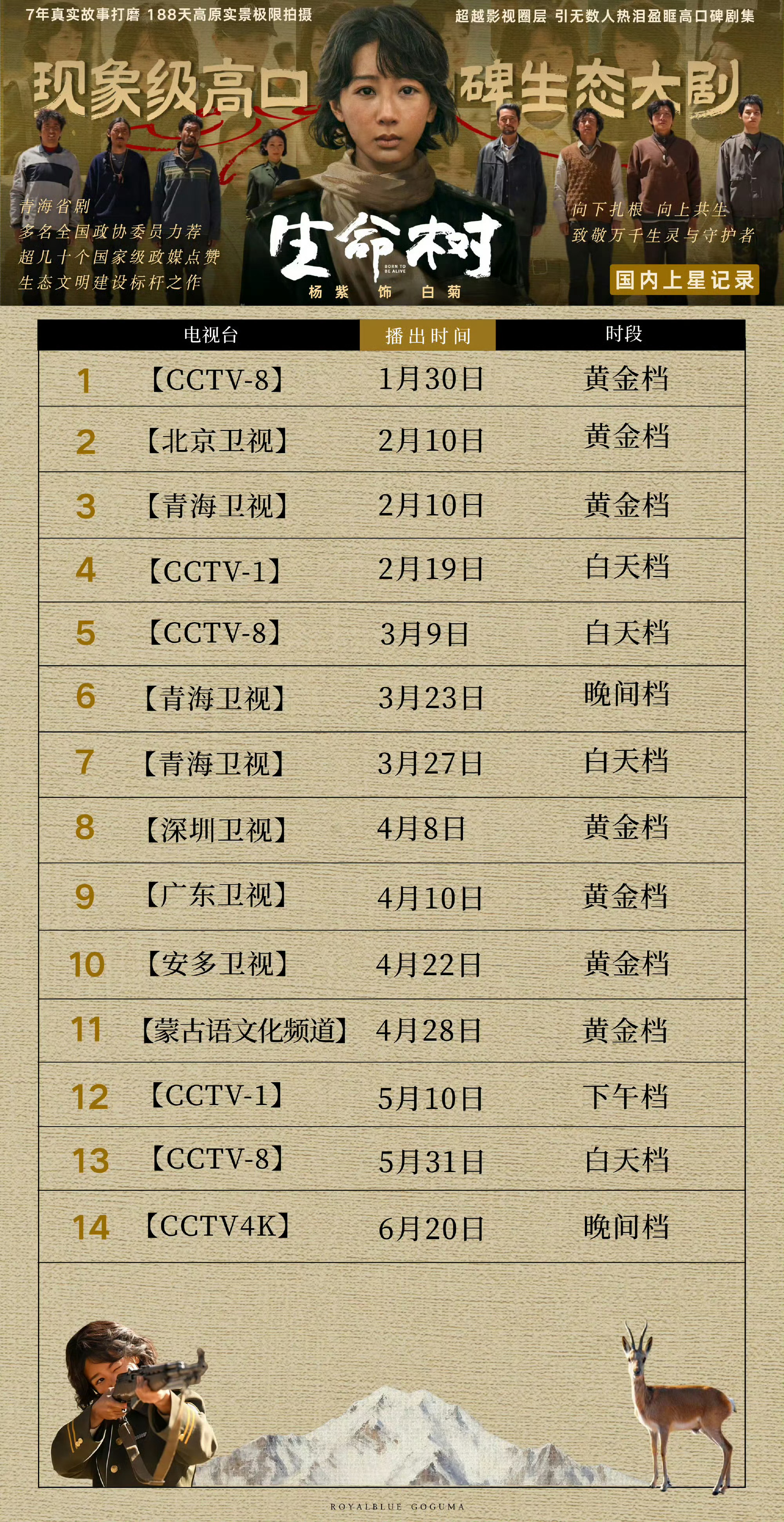 上星率100%女士 