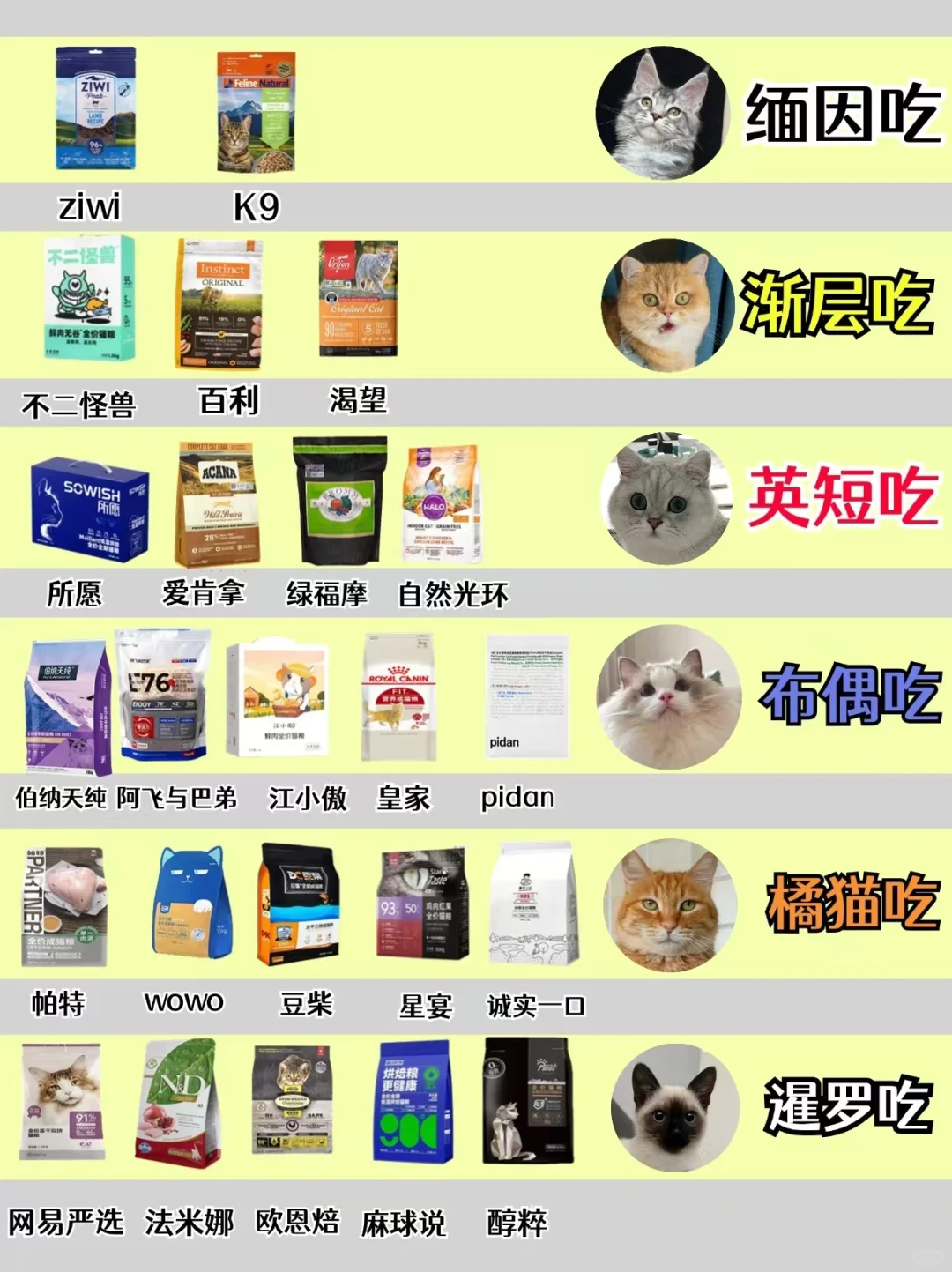 双十二千万别乱囤❗按猫咪品种选猫粮不踩雷