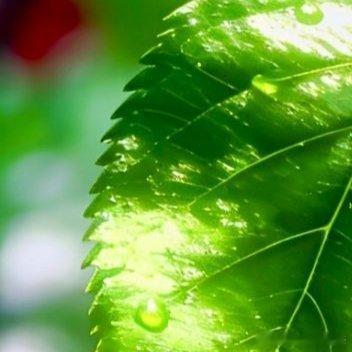 每日一善 无论何时，我们可以改变的都只有自己。如果改变了自己，对过去的懊悔和对他