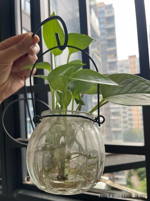 今年春天，我只想认认真真地“出发”——把拖了又拖的事，一件件捡起来。

把阳台那