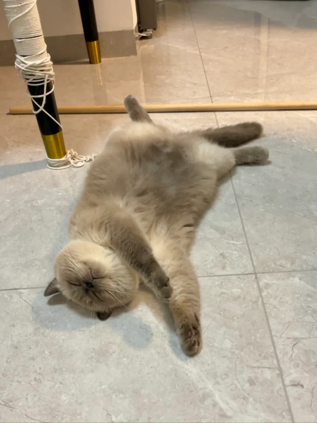 演我的精神状态…