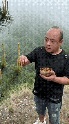 这东西能吃吗？有点怀疑[捂脸][捂脸]