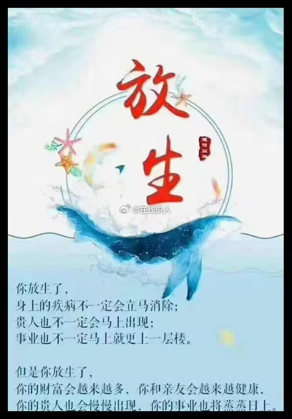 每一份慈悲之心，都是播撒福田的种子；护佑生灵的善举，亦是守护自身的福缘。放生不仅