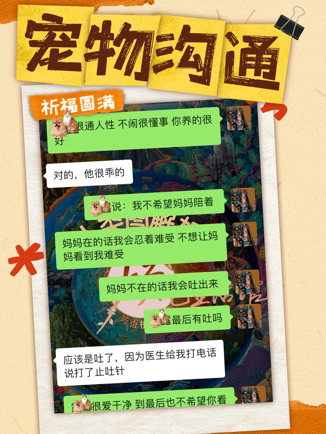 宠物沟通｜宠物心里话！大声说出来！