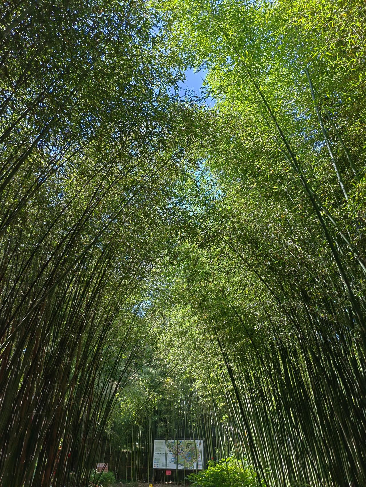 刷头条时间长了，总会遇到几类令人无奈的人。
第一种，天天进行私信轰炸，不停地转发