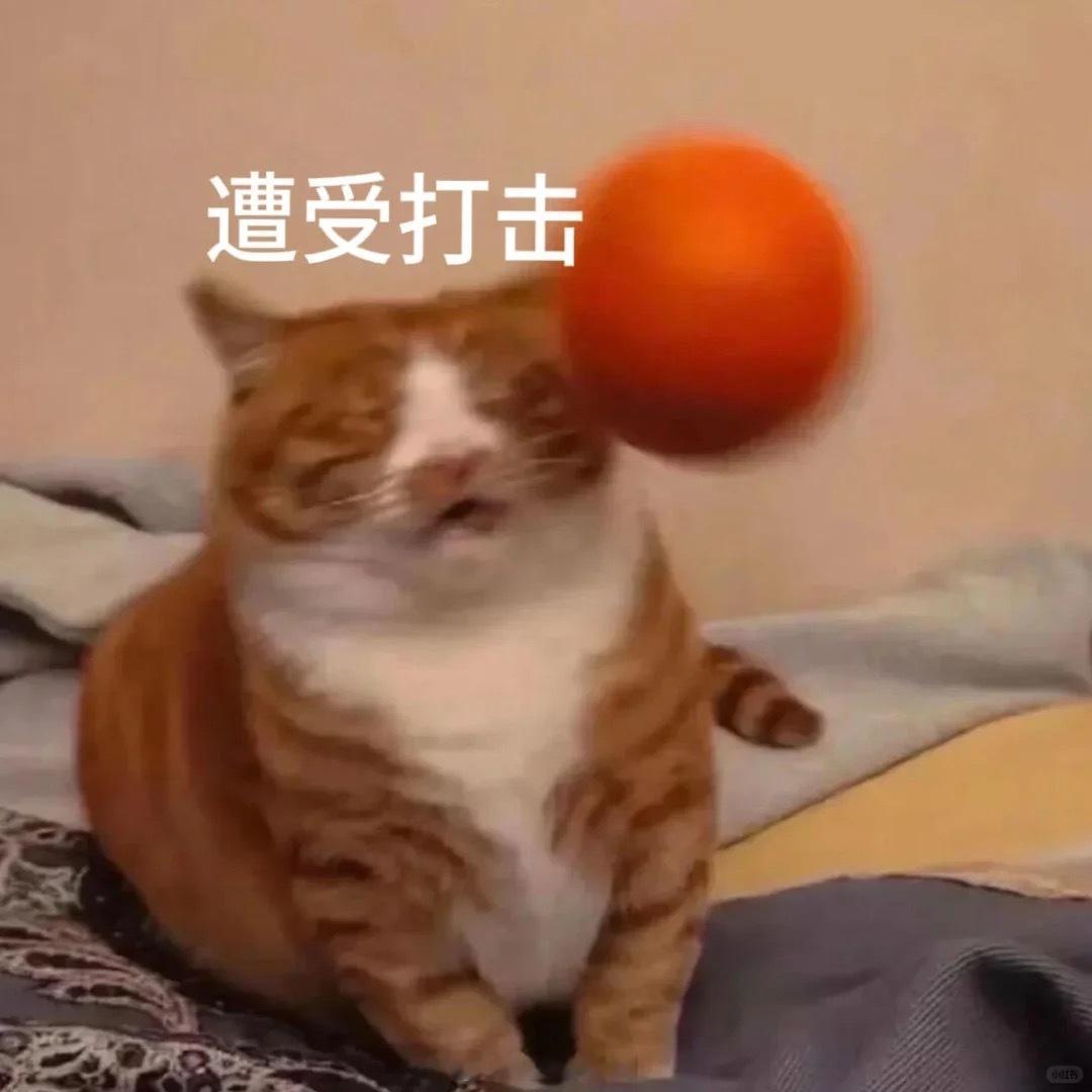 现在的生活越来越智能，但有时候也越来越没有人情味。打个客服电话，要先跟机器斗智斗