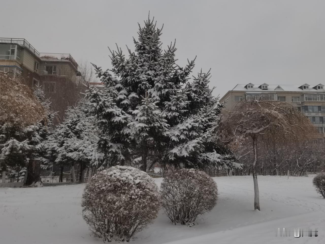 “瑞雪兆丰年”不仅是一句科学的农事经验，更是一种深入民族心理的文化符号——它代表