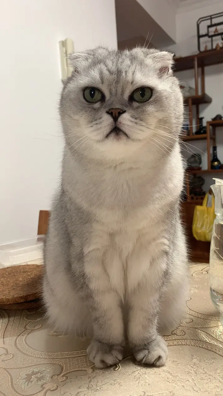 显眼包