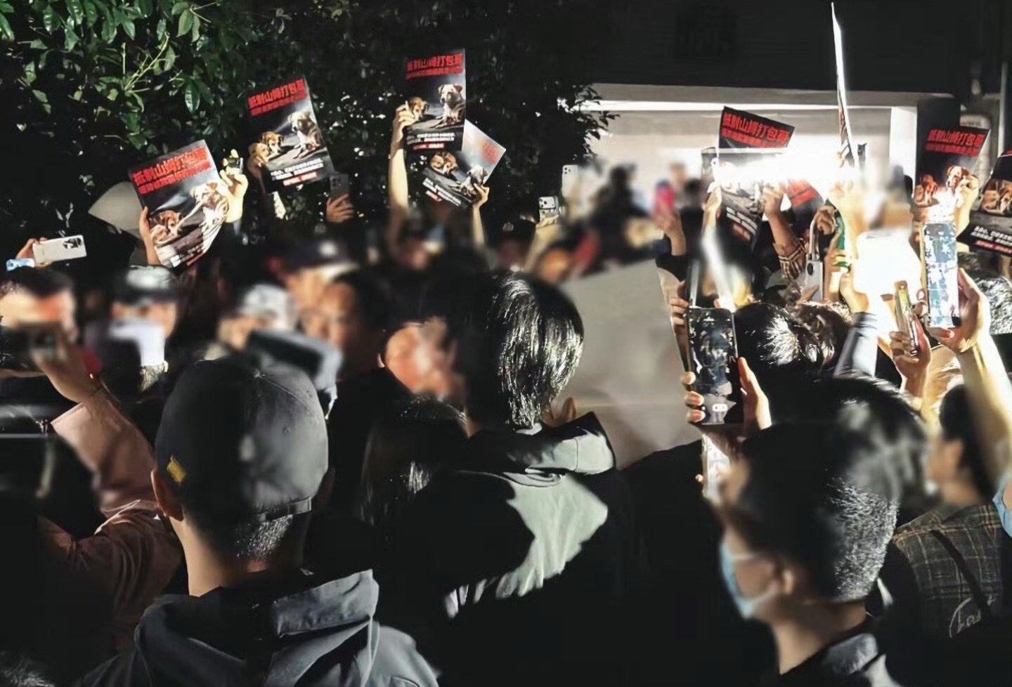警方回应山姆打包哥虐待领养猫狗既然没有法律能为它们发声，那就让舆论叫他们一家做人