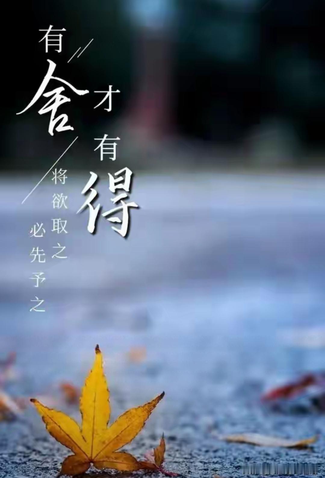 用怎样的态度对待人生? 人生像一场冒险，态度至关重要。乐观豁达不可少，生活总有坎