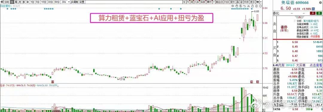 小狗近视主人花800元给定制眼镜盘前内参个人投资日记，不能作为投资决策的唯一依据
