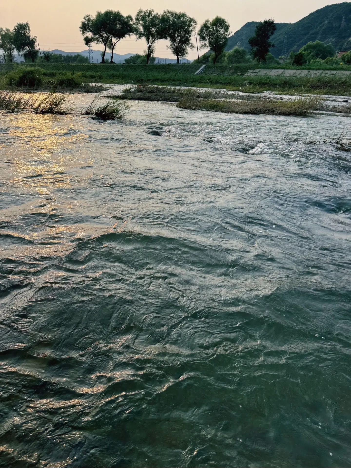 别催了 我知道该去钓鱼了