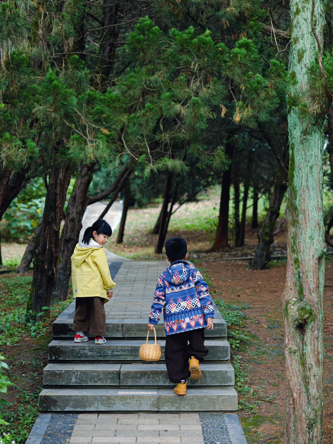 国庆遛娃🍂｜在植物园捡到了五颜六色的秋天~