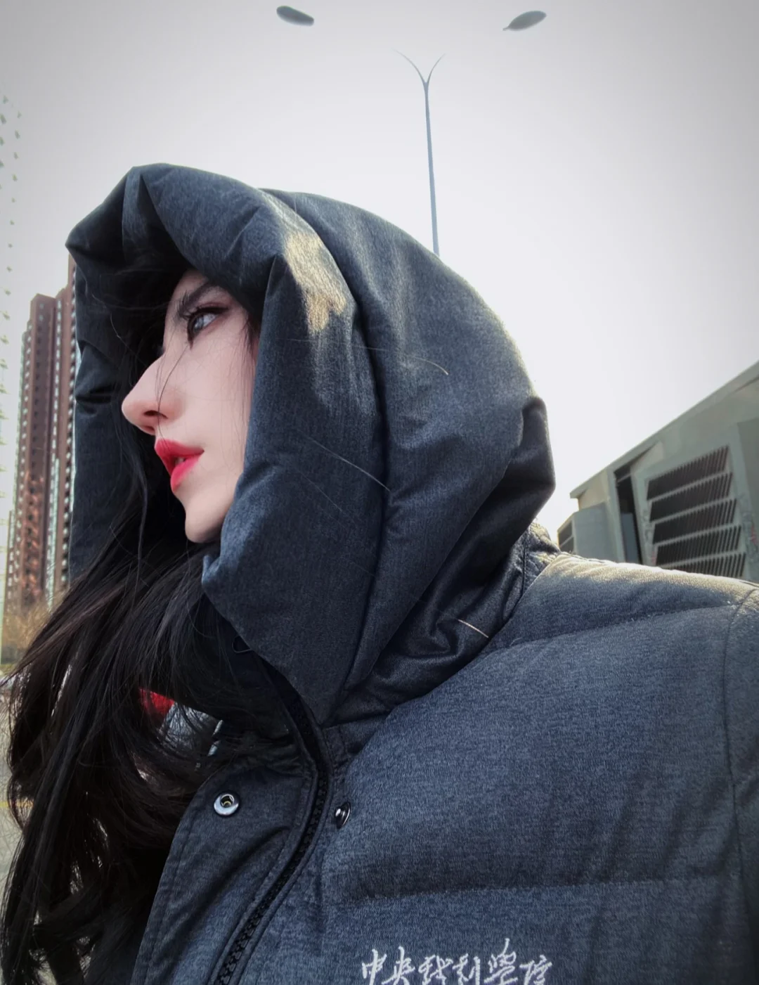 晚来天欲雪，能饮一杯无🥂