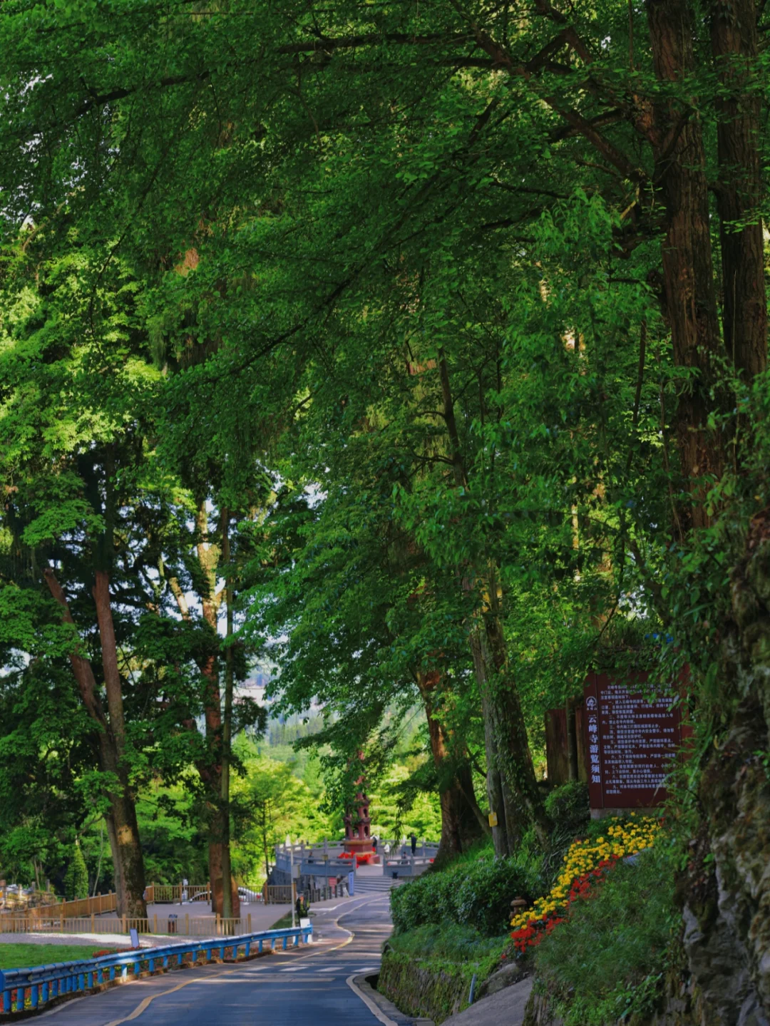 如果有一天要归隐，我会选择这座千年古寺