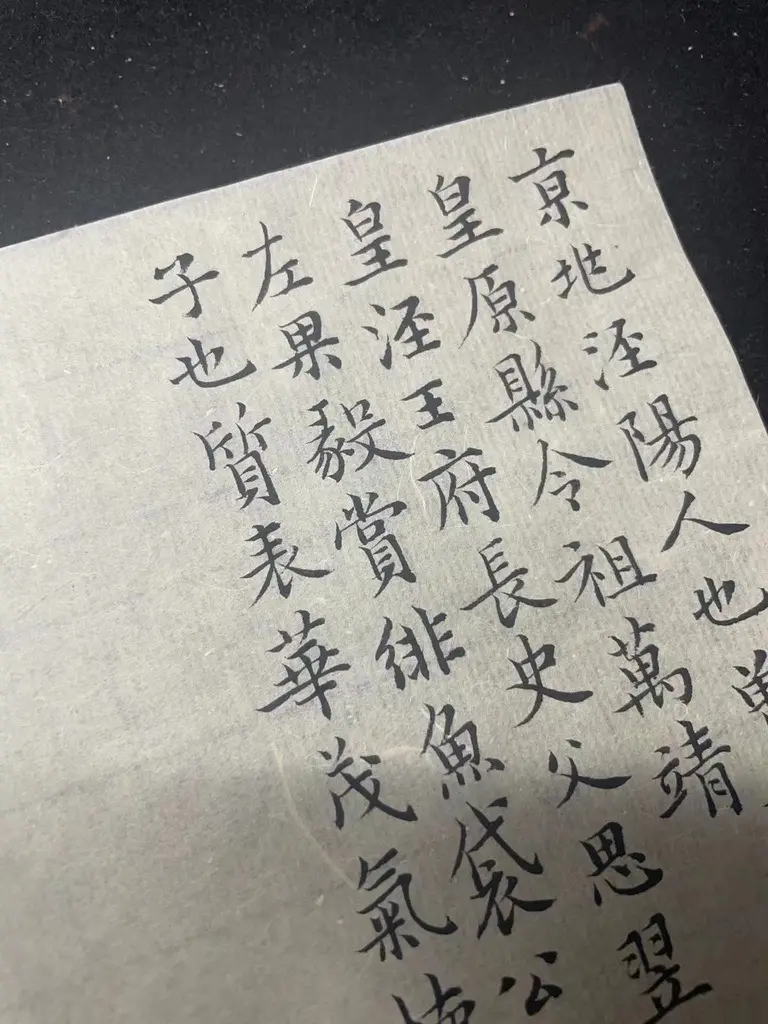 老宋纸，看着粗一些，更像是皮纸，麻纸。拍出图来确实好看。