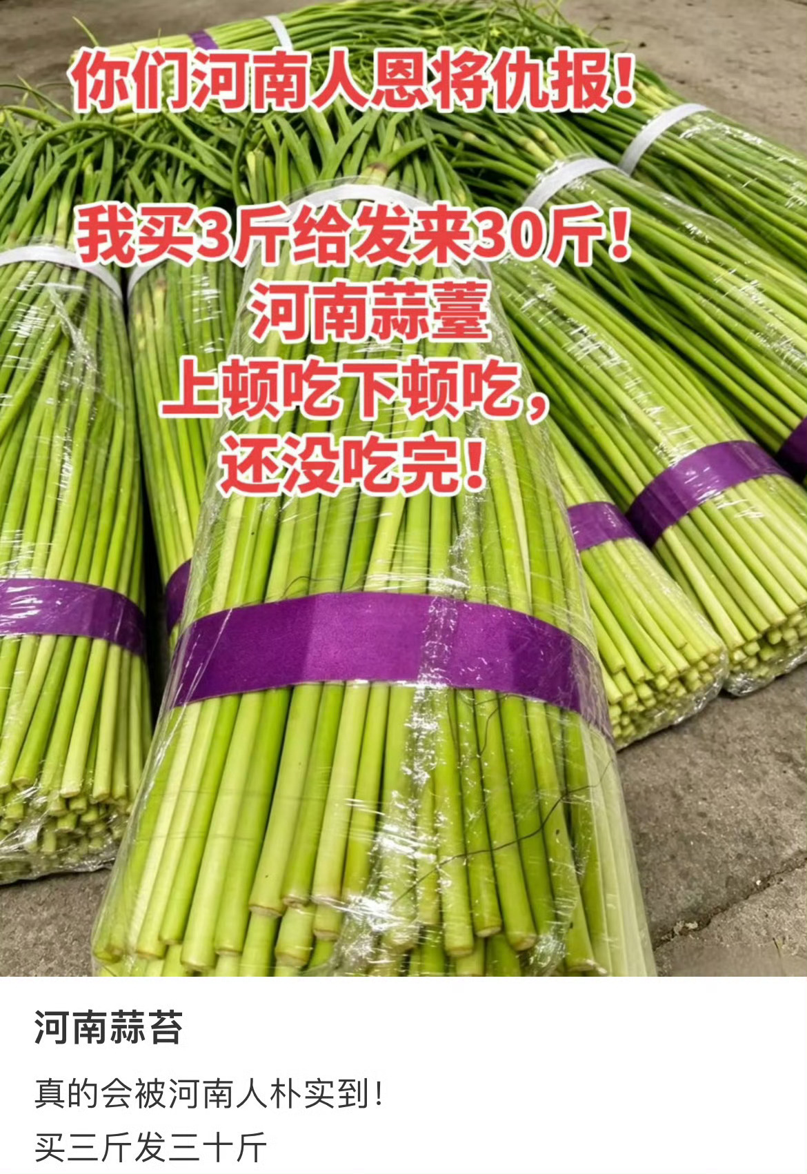 河南蒜苔居然多到这种程度，连送人都没人要了河南蒜苔 再说原地址给你补五十斤