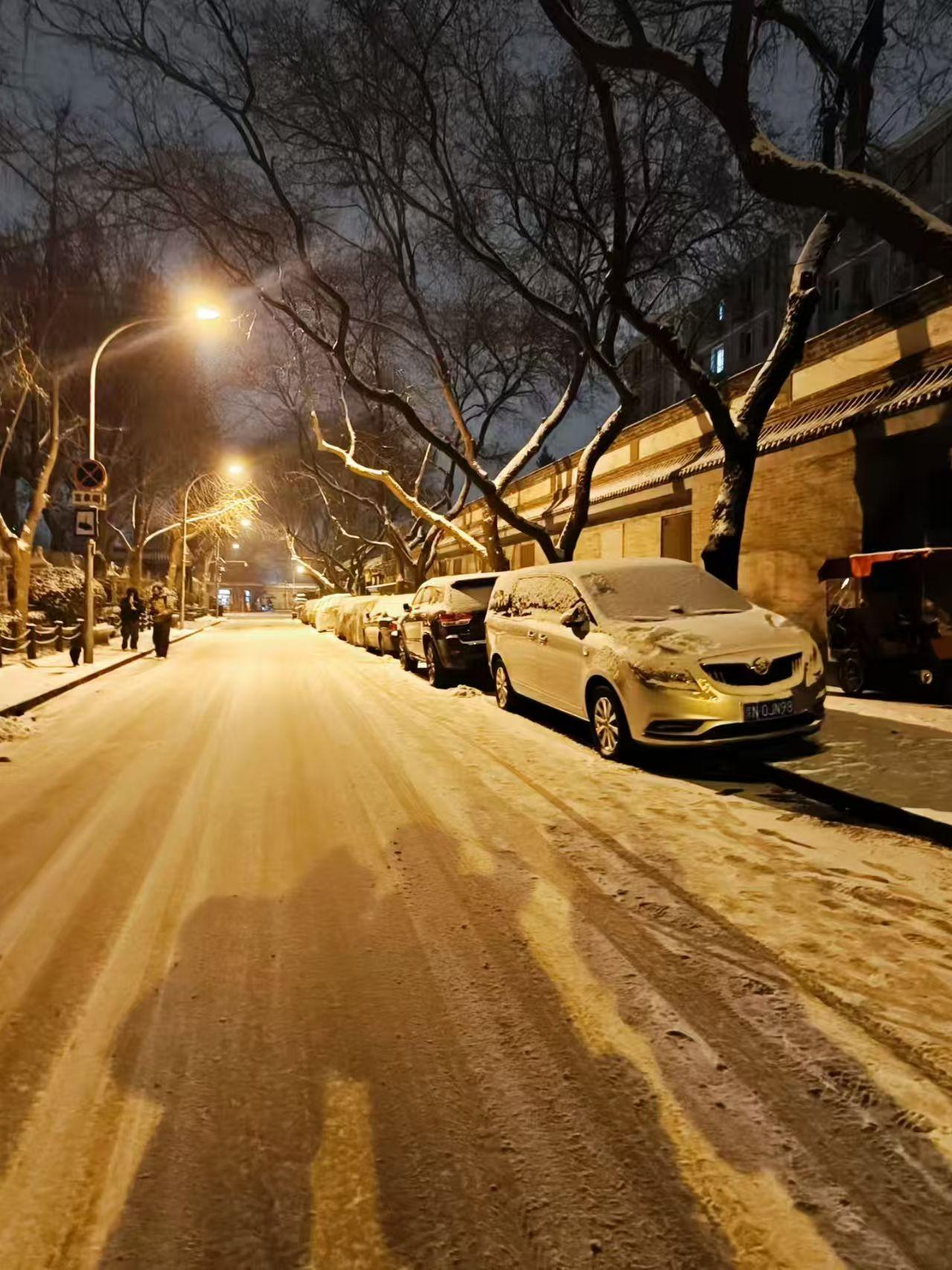 七绝.雪
新雪京师夜暖巾，
鼓楼更定写情真。
丰年许得双双对，
珍重庭前垂柳春。