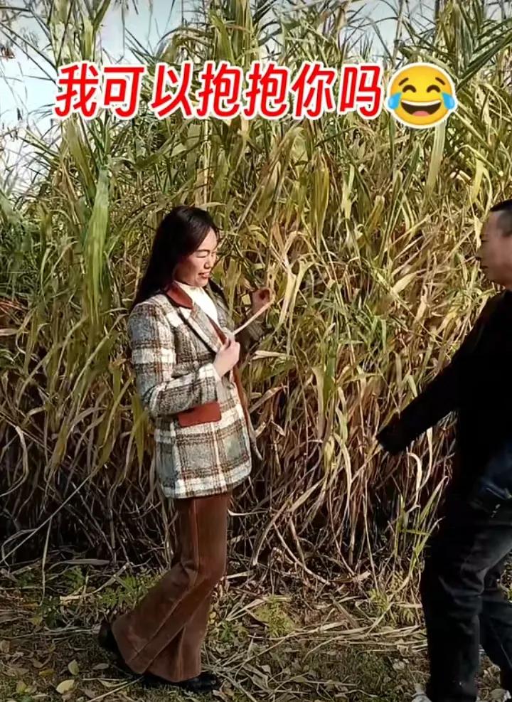 秋收之际，那与田间相守的甜蜜时光，芦花散发着香气，芦苇荡里谈论着鸳鸯。美丽的庄稼