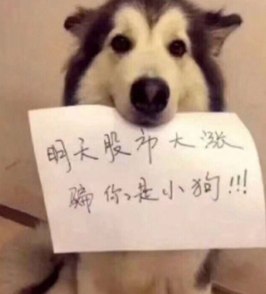 一个人爱上你，往往不仅仅欣赏你的优点，而是还能接受你的缺点。一个牛股属于你，往往