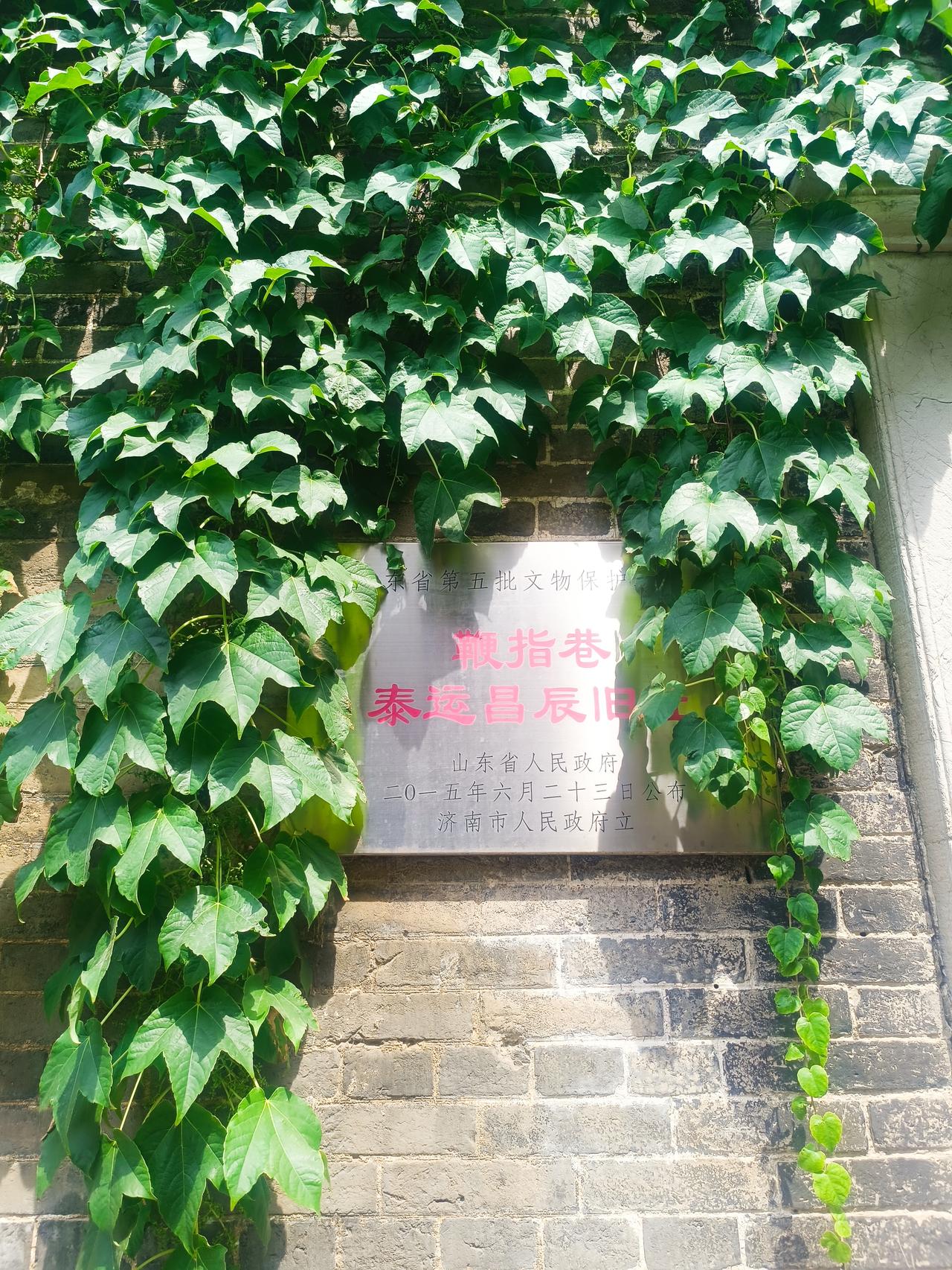 济南泉城路北侧，有条不足400米的老街——鞭指巷，北连双忠祠街，南接泉城路，东临