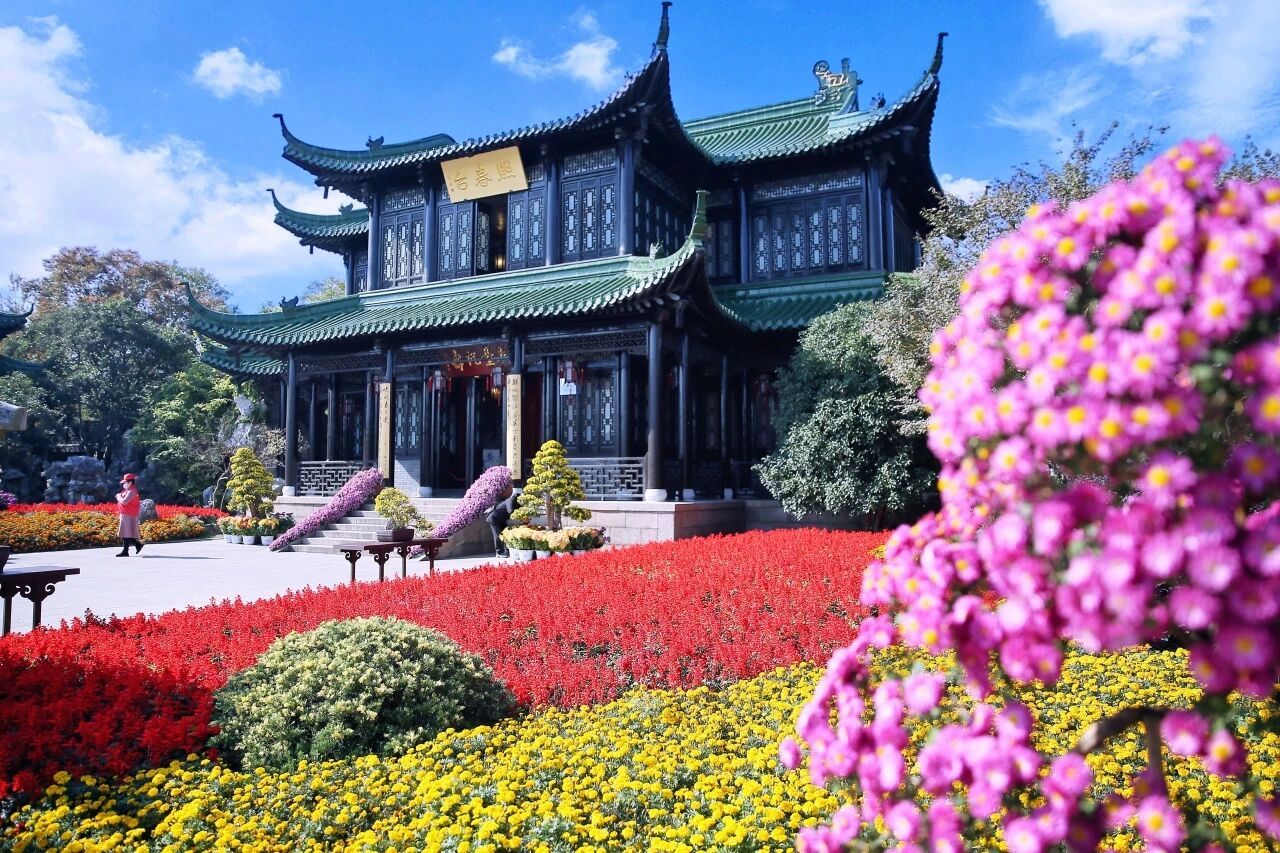 总要来趟江苏吧 【瘦西湖邀您共赴秋日菊宴】秋意漫湖，菊香满园。2026瘦西湖菊花