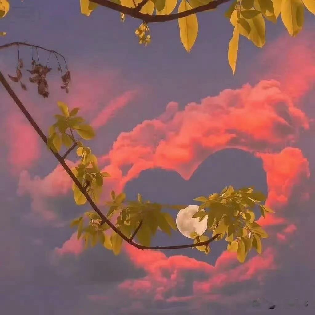 成年人的世界，没回应就是最直白的拒绝
 
成年人的感情里，最让人内耗的不是争吵，