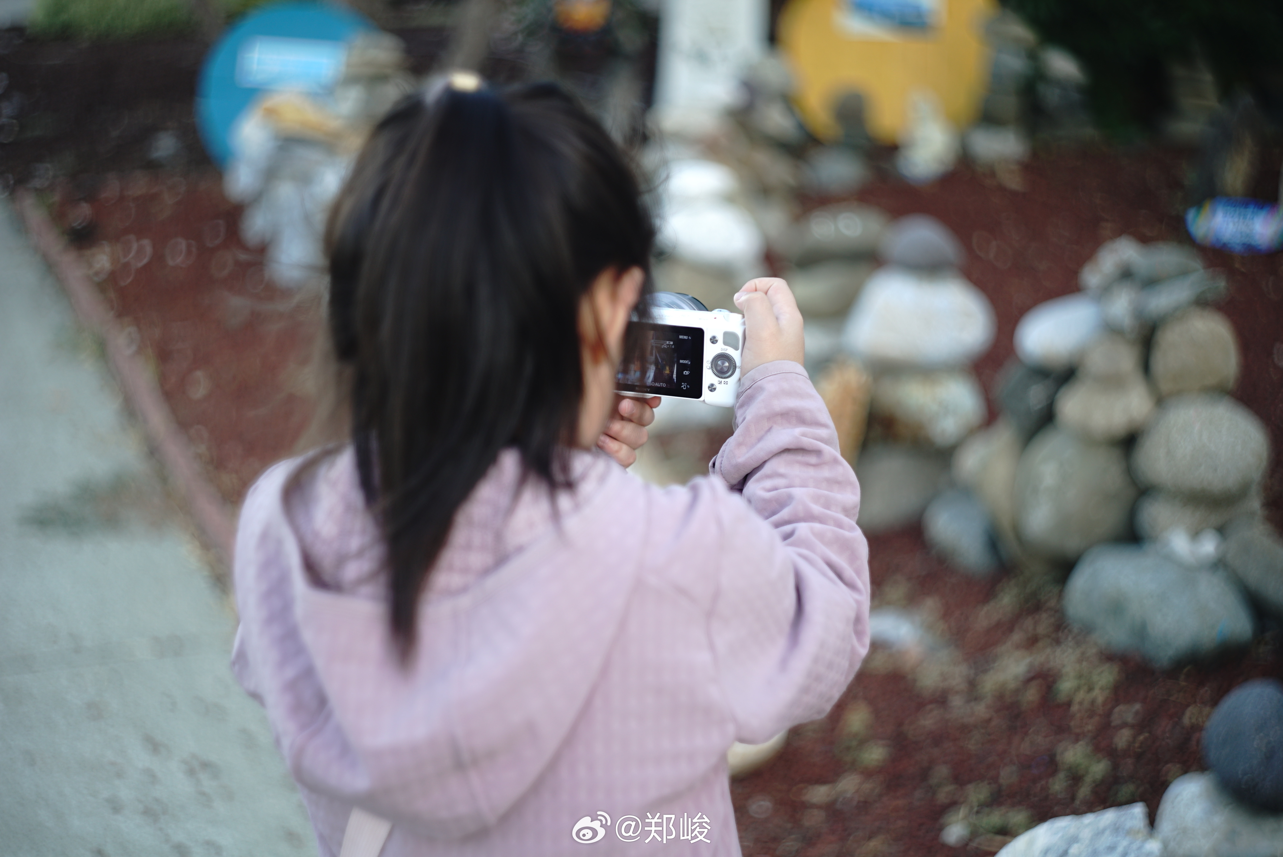 吃完饭带娃散步，她已经习惯拿着相机了。拍花草拍妈妈，看到什么拍什么。今天拍着拍着