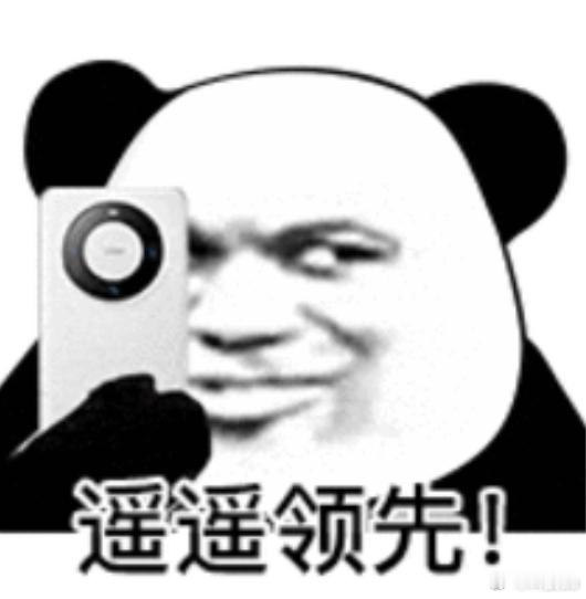 #P70发不发售#不造谣不传谣！最近网上天天都传华为P70系列要开启先锋计划，搞