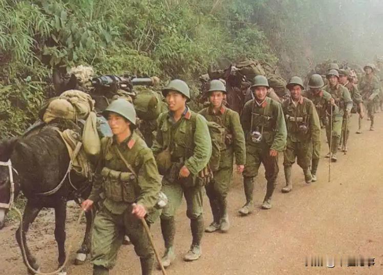 1979年那场仗，咱们自己人叫“自卫反击”，可越南人把这口气憋了47年，憋到这些